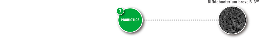 7 PROBIOTICS / Bifidobacterium breve B-3TM