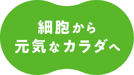 細胞から元気なカラダへ