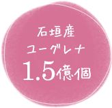 石垣産ユーグレナ1.5億個