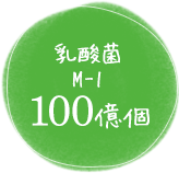 乳酸菌M-1100億個