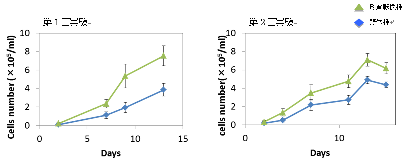 Format conversion experiment