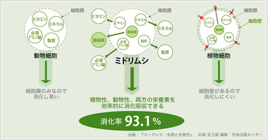 2. 高い消化率