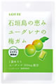 Blessing of Ishigaki Island Euglena Plum Gum