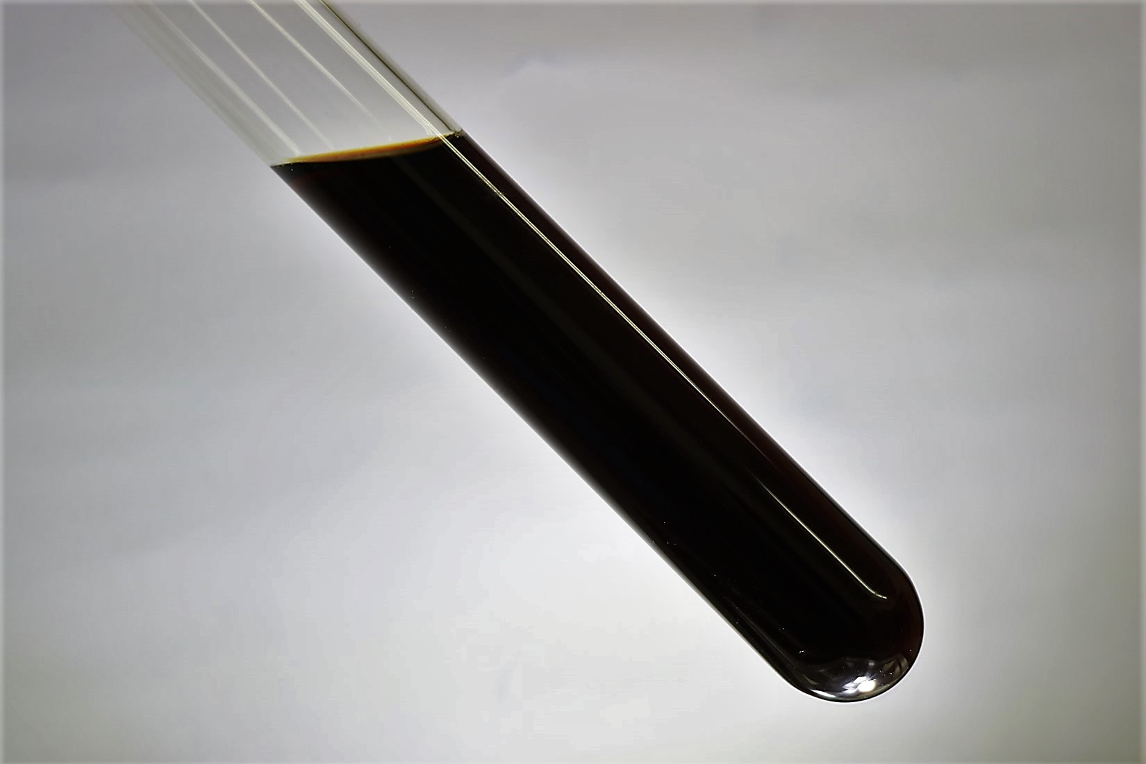 Euglena extract undiluted solution ①