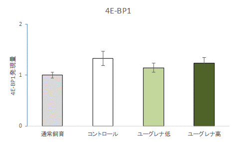 筋萎縮③