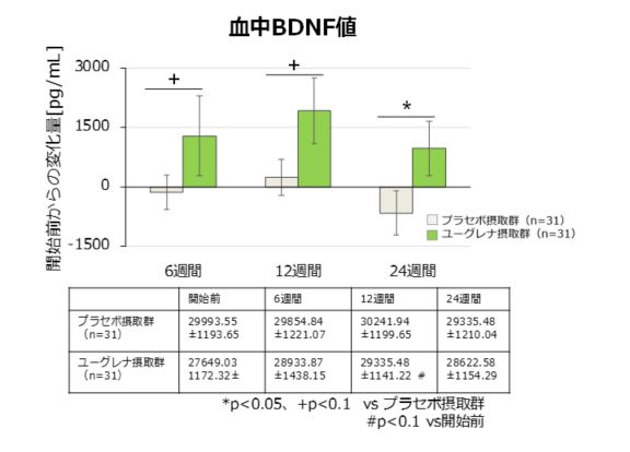 血中BDNF値グラフ