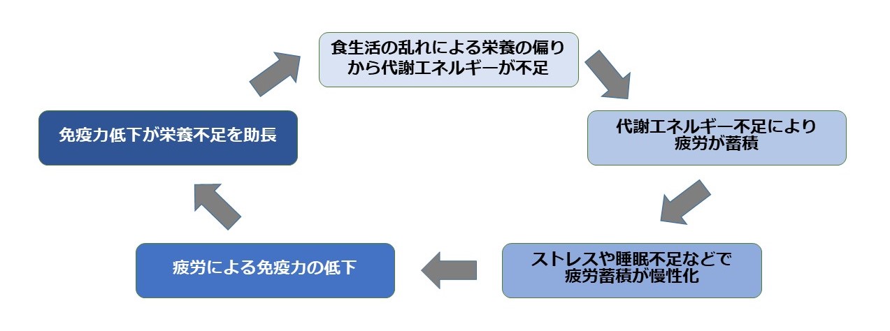 健康不安サイクル