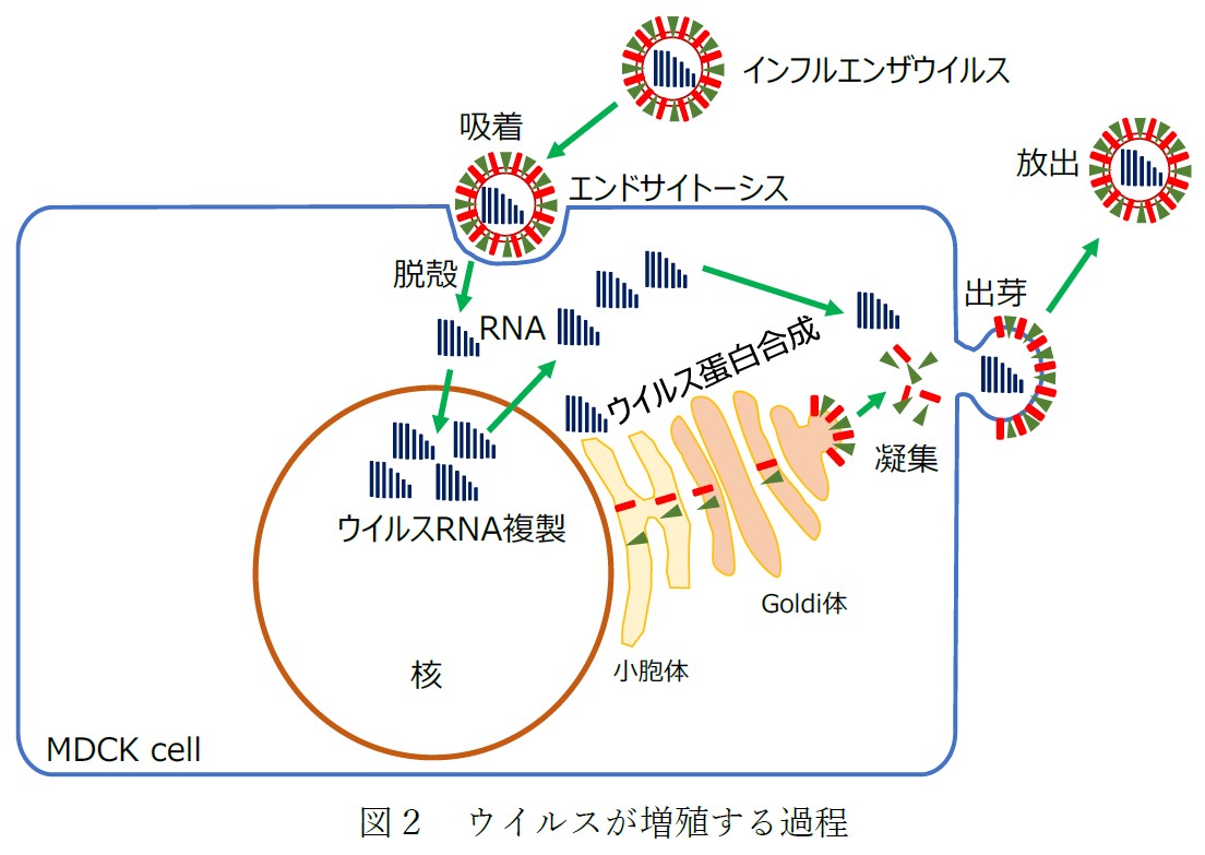 wordpress図2