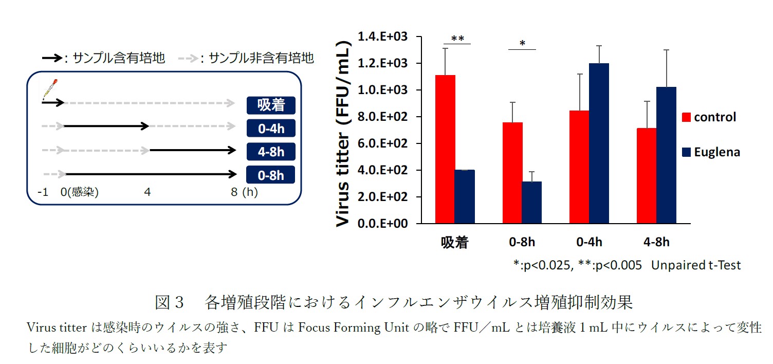 wordpress図3