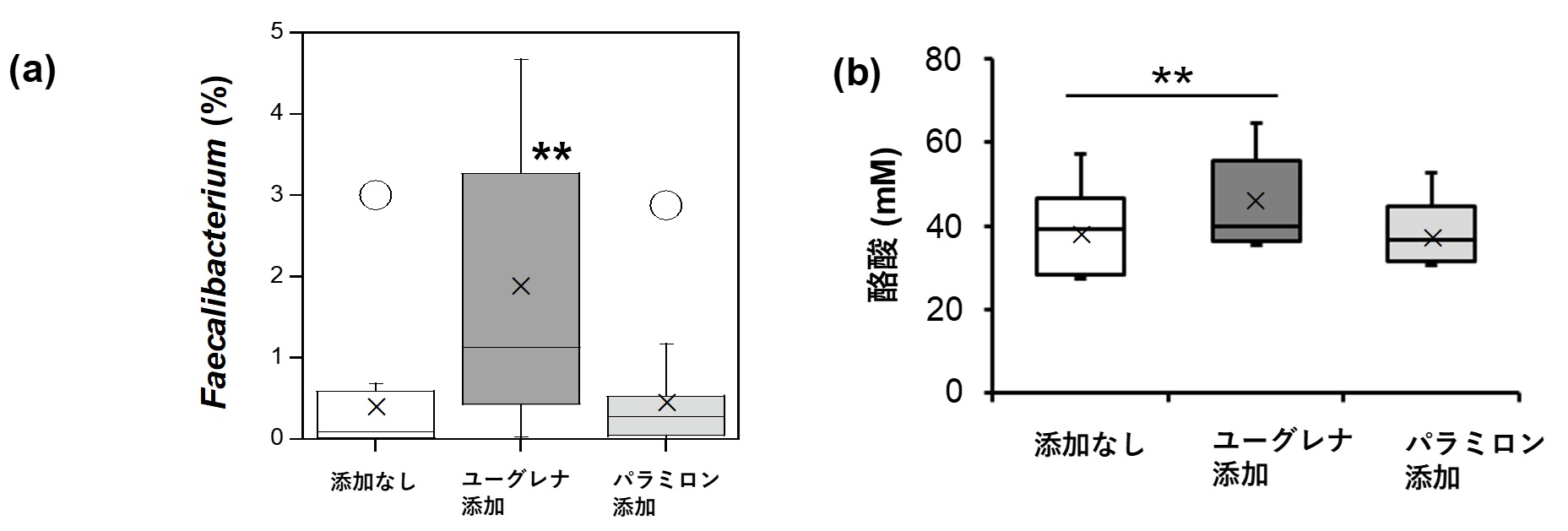 図（キャプチャ無し）