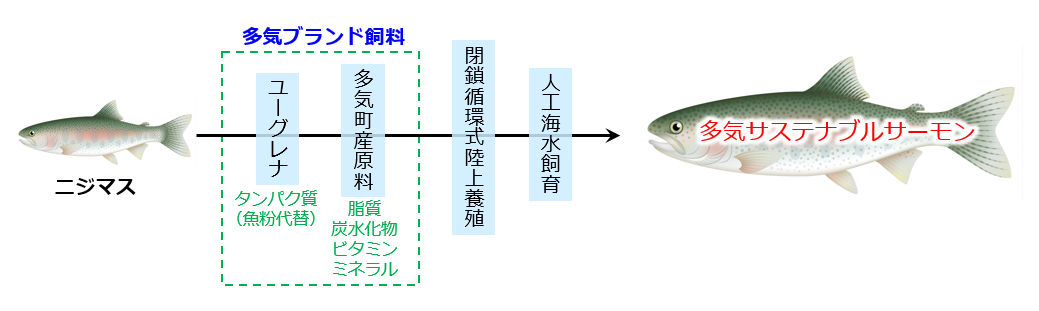 多気サステナブルサーモンの養殖