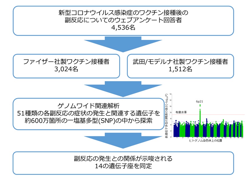 図1 