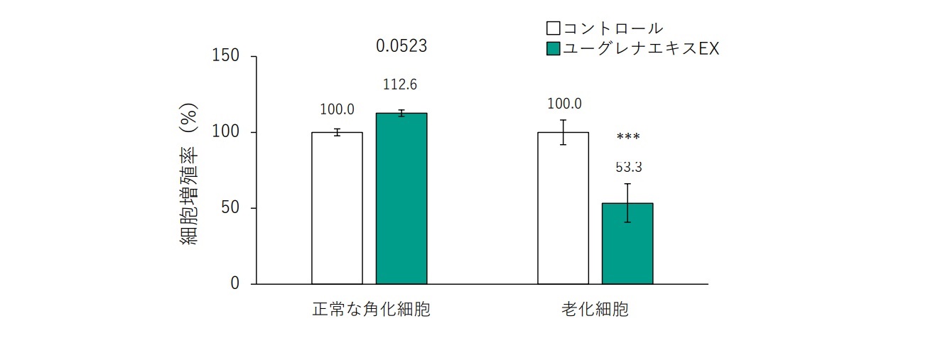 ユーグレナエキスEX添加時の正常角化細胞と老化細胞の増殖率