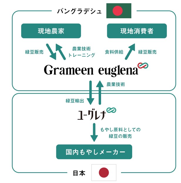 緑豆プロジェクトの概要図