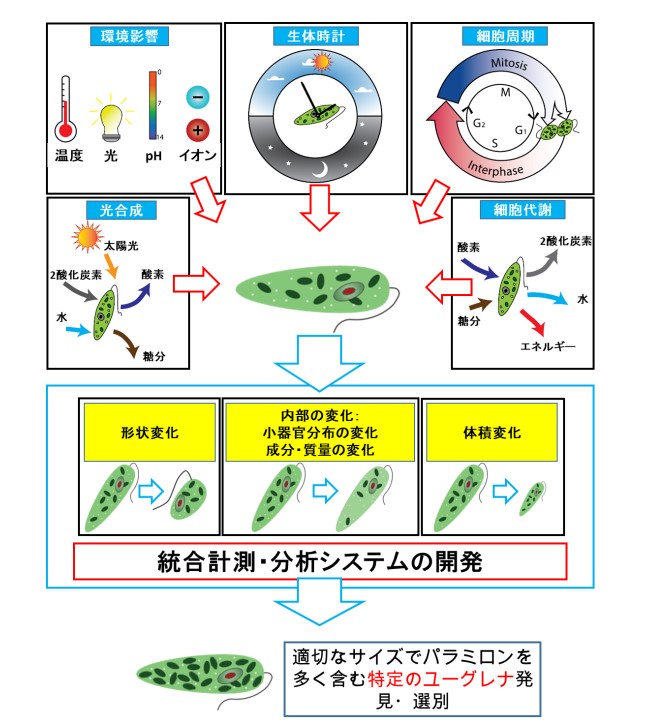 図1. 本研究の目的と位置付け