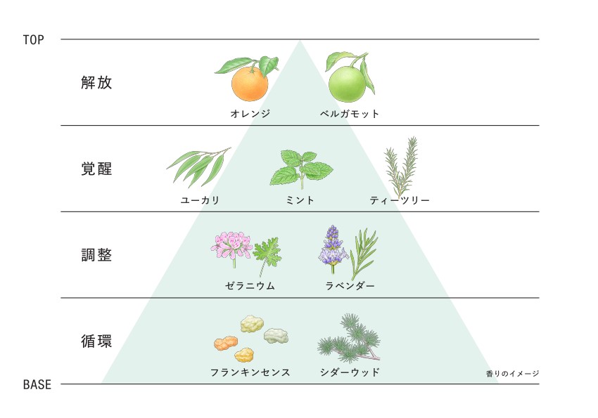 ネッコ_香りのイメージ図