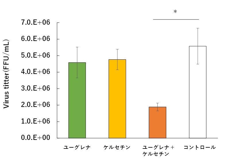 図：ユーグレナおよびケルセチンのインフルエンザウイルス増殖抑制効果