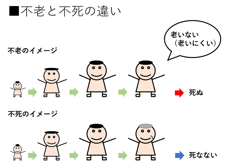 結局、『不老不死』は実現できるのか。（前編） －生命科学者がひも 