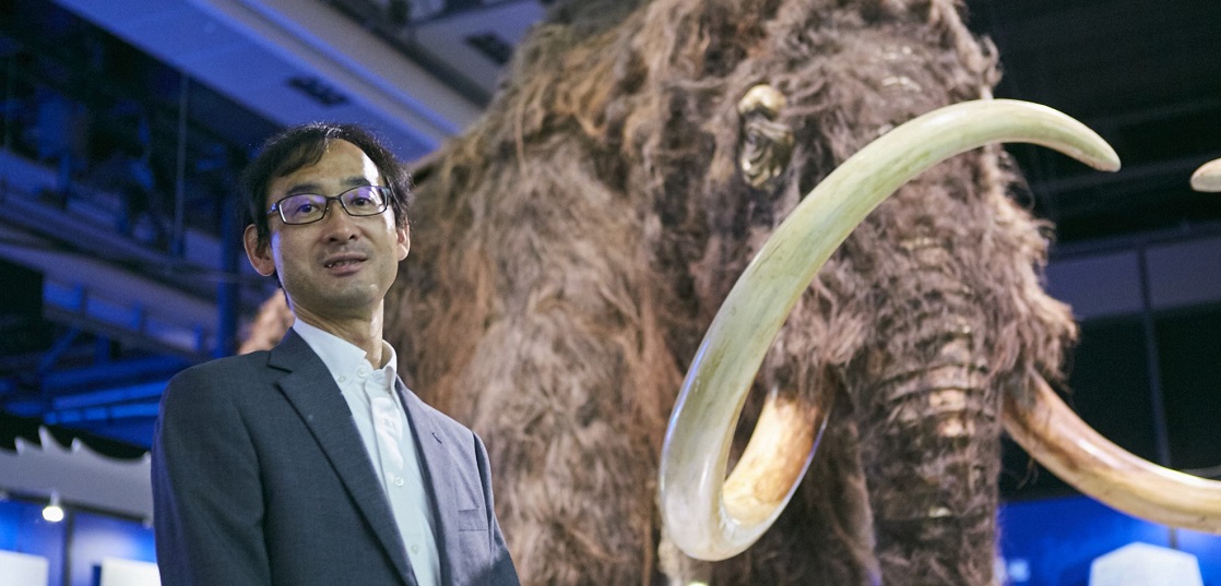 Will the extinct life come back? The future of the earth from the latest mammoth research