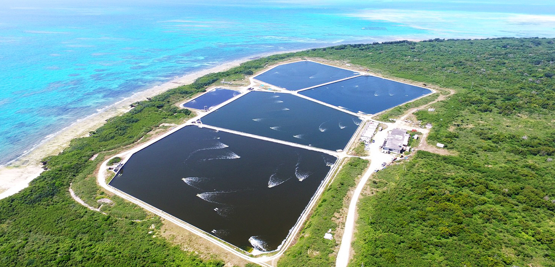 vol.36 Develop the prawn farming business on Taketomi Island.