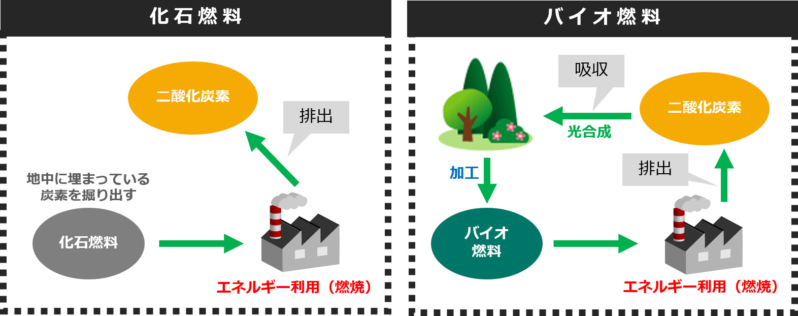 化石燃料とバイオ燃料のCO2の流れを比較。