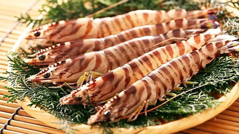 自然とともに、未来の食文化を守る―ユーグレナ竹富エビ養殖の持続可能なクルマエビ養殖