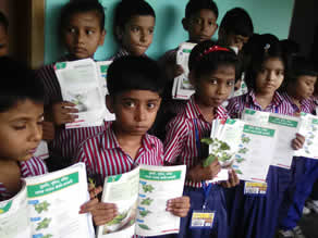 Photo-1: Materials used in food education seminars