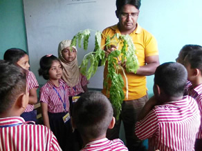 Photo-2: Children learning why and how to take wasabi noki