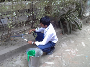 Photo-6: Mr. Zahid pruning a school garden tree