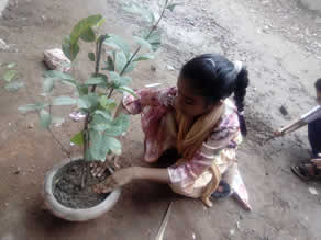 Photo-7: Children planting seedlings
