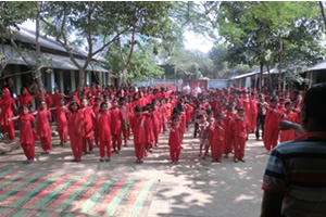 SUROVI school landscape